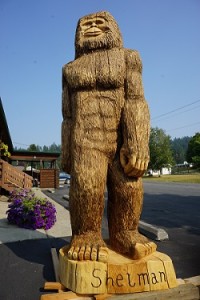 Shelman Bigfoot